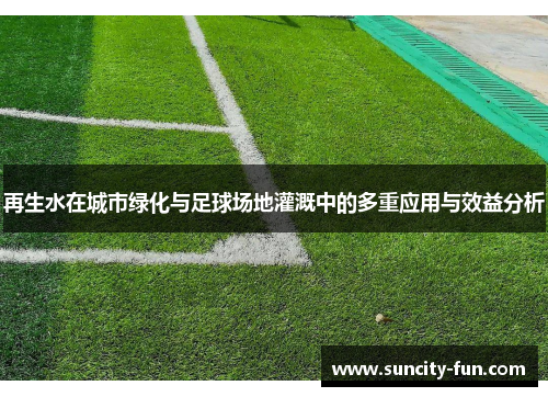 再生水在城市绿化与足球场地灌溉中的多重应用与效益分析